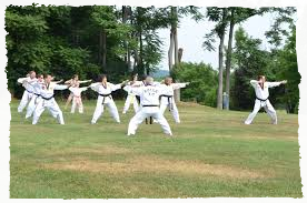 Acceso a explicación sobre la técnica y competición en Taekwondo