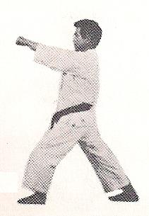 Link de acceso a ataques en Taekwondo