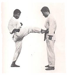 Link de acceso a técnicas de patadas en Taekwondo