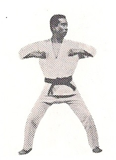 Link de acceso a movimientos especiales en Taekwondo